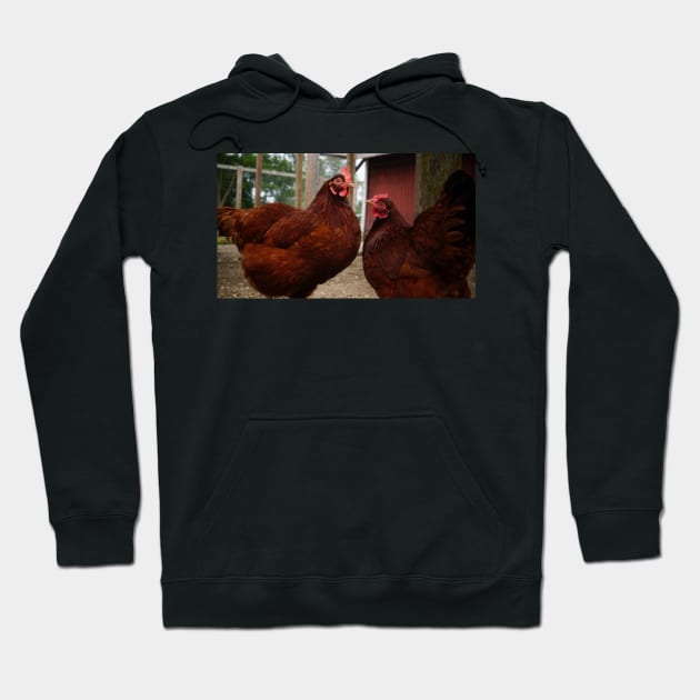 Twin Chickens Hoodie by 1Redbublppasswo